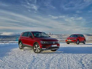 Volkswagen Tiguan 8 300x225 باتری فولکس تیگوان